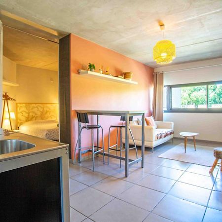 Le Saint Roch 1 - Ac Clim - Wifi - 50M Centre Ville Αβινιόν Εξωτερικό φωτογραφία
