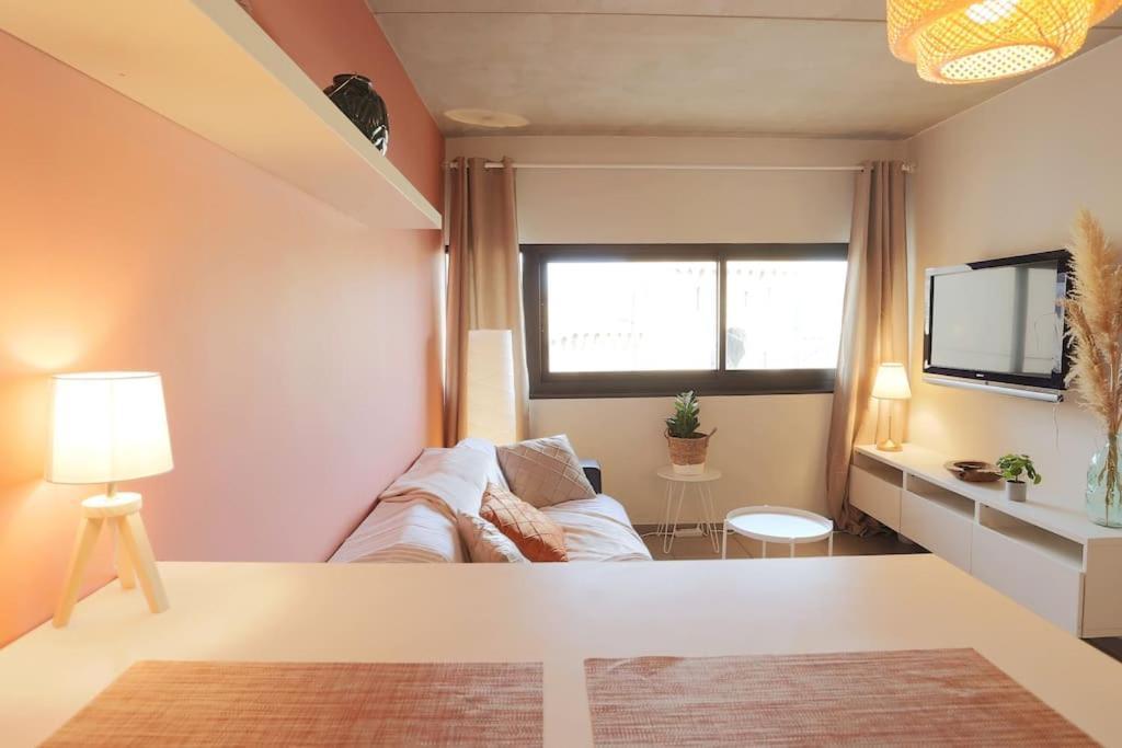 Le Saint Roch 1 - Ac Clim - Wifi - 50M Centre Ville Αβινιόν Εξωτερικό φωτογραφία